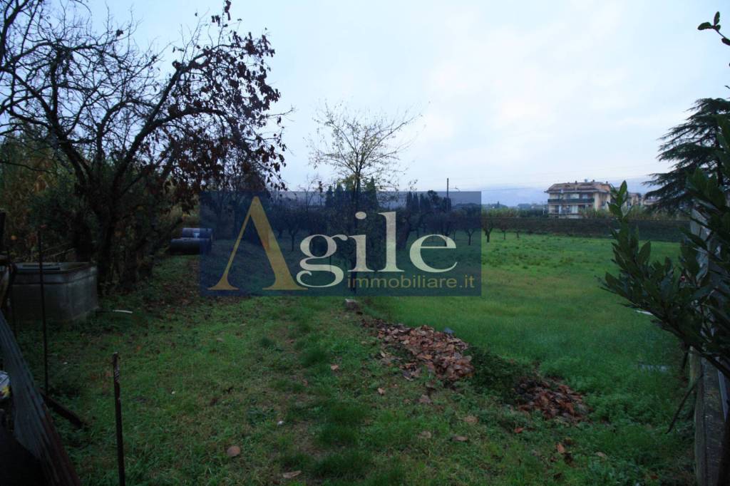 terreno agricolo in vendita a Spinetoli