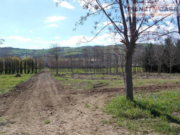 terreno in vendita a Spinetoli in zona Pagliare