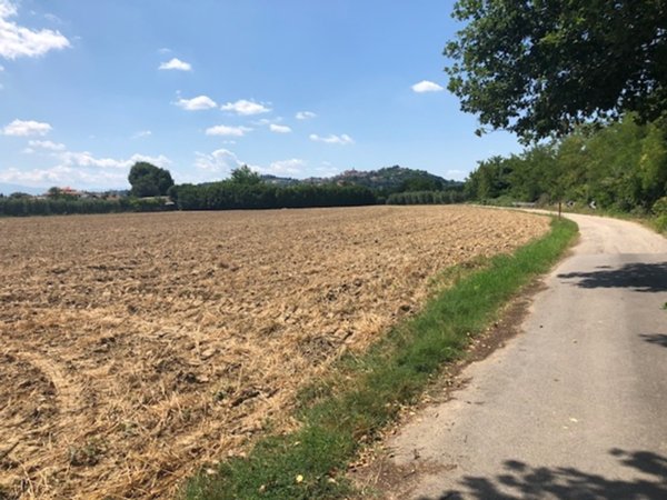terreno agricolo in vendita a Spinetoli in zona Pagliare