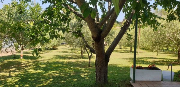 casa indipendente in vendita a Venarotta