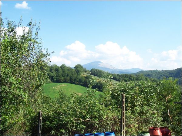 casa indipendente in vendita a Venarotta in zona Cepparano