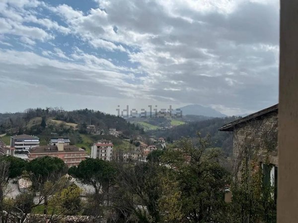 appartamento in vendita a Venarotta