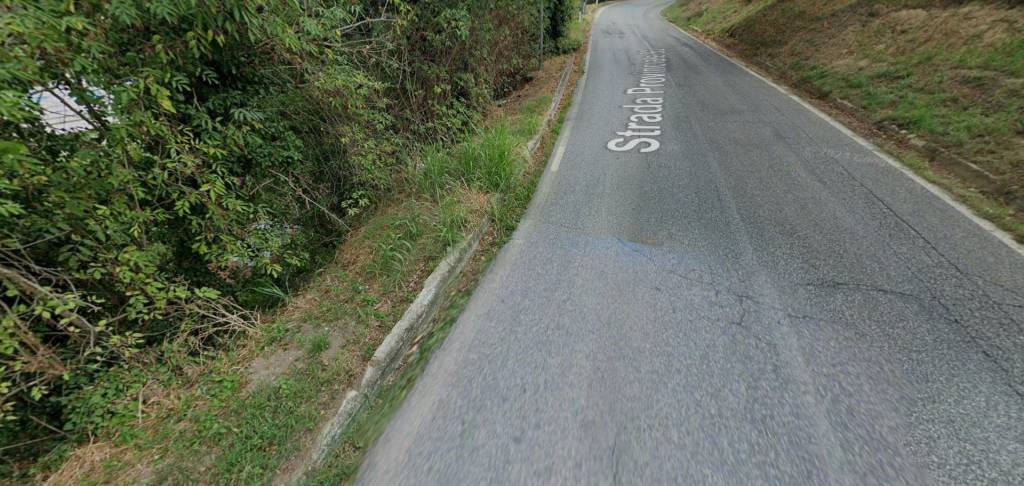 terreno agricolo in vendita a Venarotta