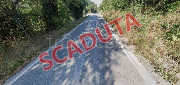 terreno agricolo in vendita a Venarotta