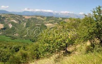 monolocale in vendita a Venarotta