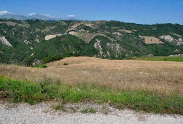 terreno agricolo in vendita a Venarotta