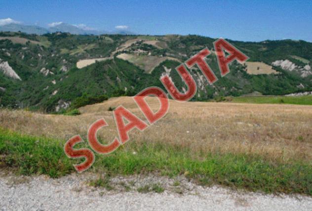terreno agricolo in vendita a Venarotta