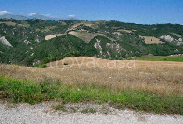 terreno agricolo in vendita a Venarotta
