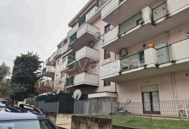 appartamento in vendita a Venarotta
