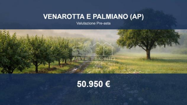 terreno agricolo in vendita a Venarotta