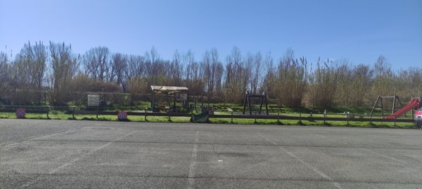 immagine annuncio 0 di 1