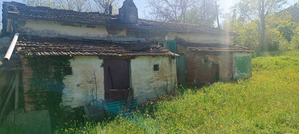 immagine annuncio 0 di 14