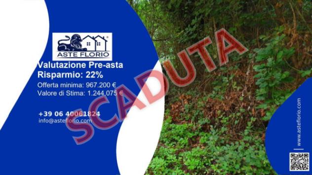 pentavano in vendita ad Aulla