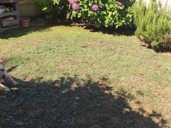 appartamento in vendita ad Aulla