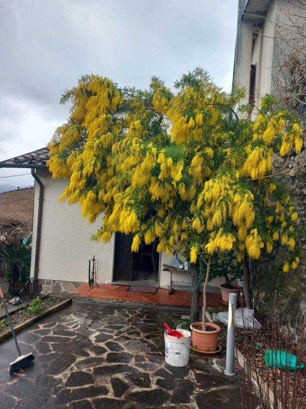 casa indipendente in vendita ad Aulla