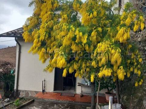 casa indipendente in vendita ad Aulla