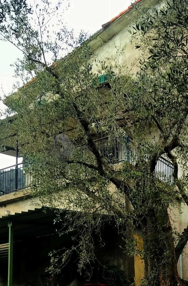 casa indipendente in vendita ad Aulla