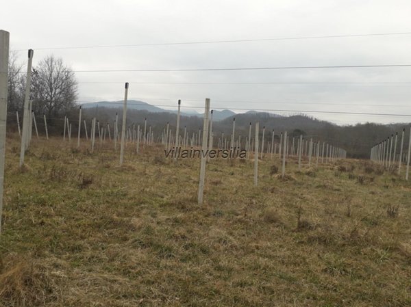 terreno agricolo in vendita a Bagnone in zona Vico