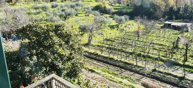 casa indipendente in vendita a Bagnone in zona Orturano