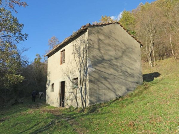 casa indipendente in vendita a Bagnone