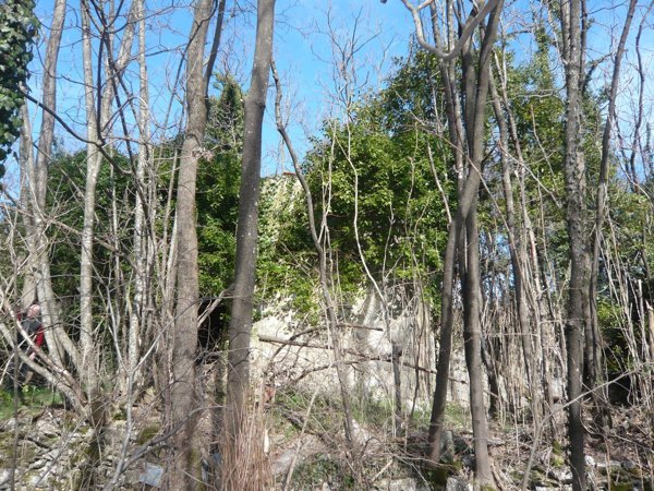 pentavano in vendita a Bagnone in zona Corlaga