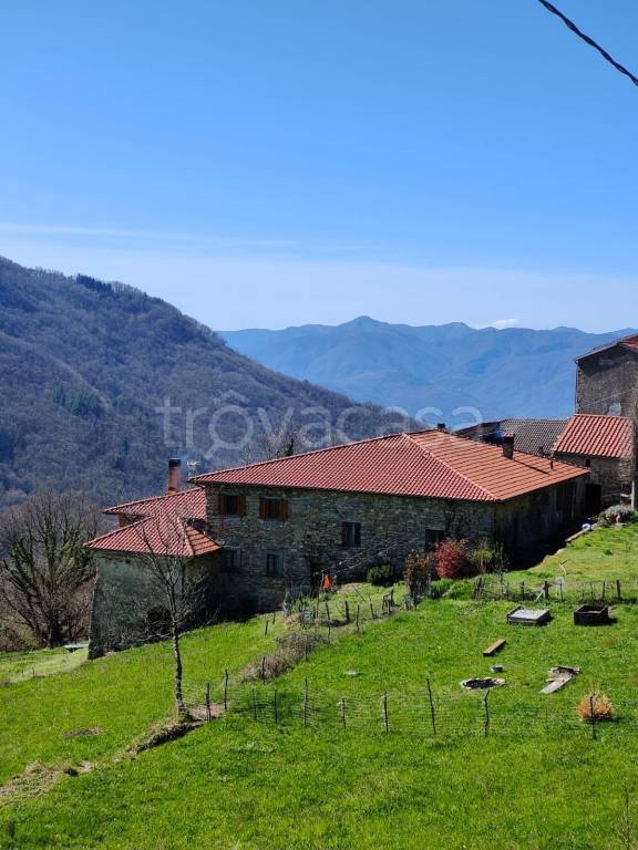 casa indipendente in vendita a Bagnone