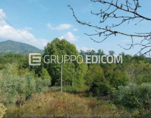 terreno agricolo in vendita a Bagnone
