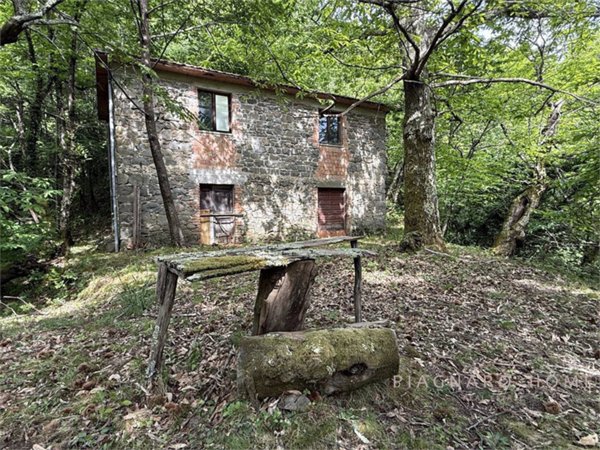 locale di sgombero in vendita a Bagnone in zona Canneto