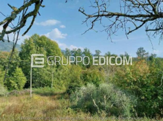 terreno agricolo in vendita a Bagnone