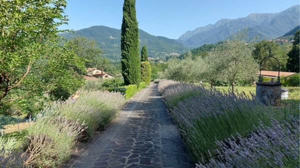 casa indipendente in vendita a Bagnone in zona Mochignano