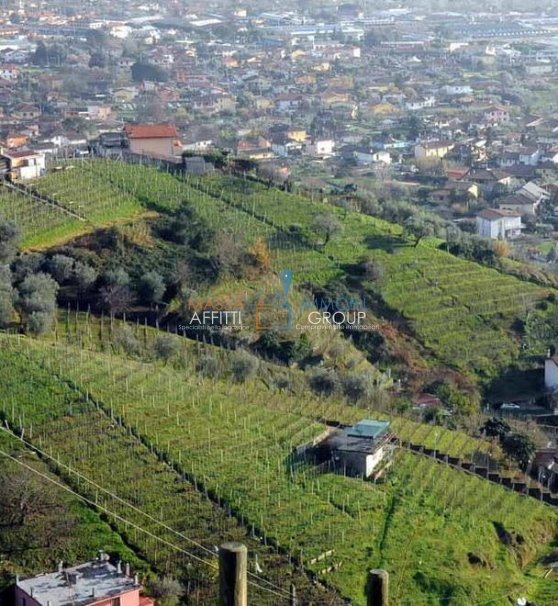 terreno agricolo in vendita a Carrara