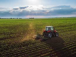 terreno agricolo in vendita a Carrara in zona Bonascola