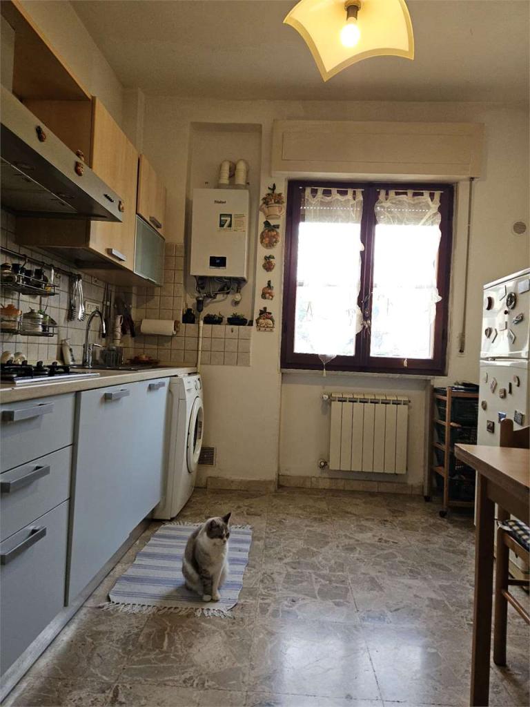 negozio in vendita a Carrara in zona Bonascola