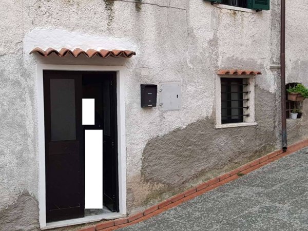 casa indipendente in vendita a Carrara in zona Sorgnano
