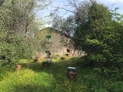 casa indipendente in vendita a Carrara