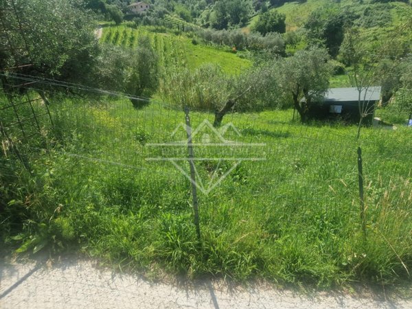 terreno agricolo in vendita a Carrara in zona Bonascola