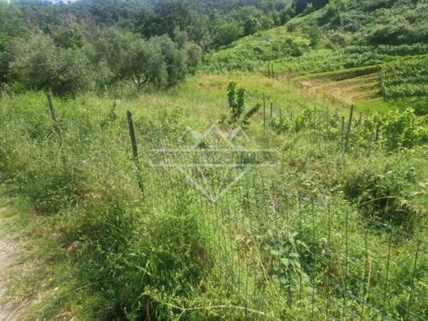 terreno agricolo in vendita a Carrara in zona Bonascola