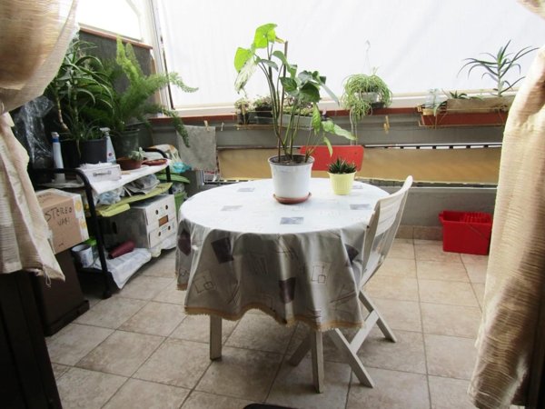 casa indipendente in vendita a Carrara in zona Avenza