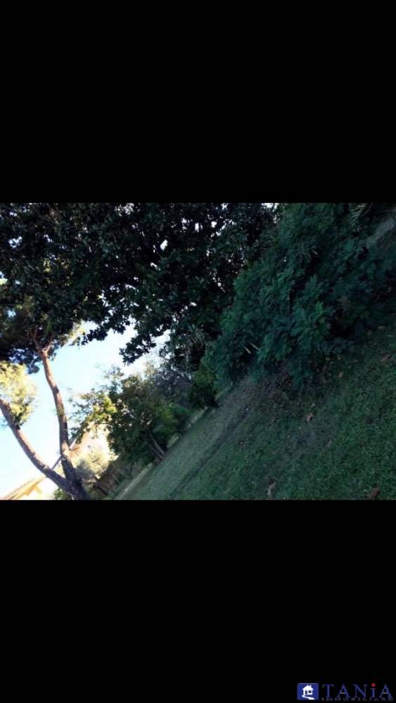 casa indipendente in vendita a Carrara in zona Marina di Carrara