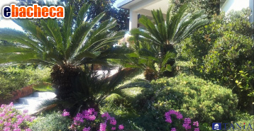 appartamento in vendita a Carrara in zona Marina di Carrara