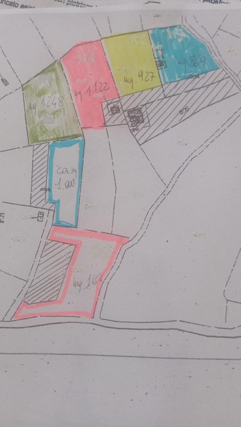 terreno agricolo in vendita a Carrara in zona Avenza