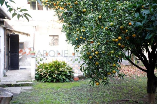 casa indipendente in vendita a Carrara in zona Avenza
