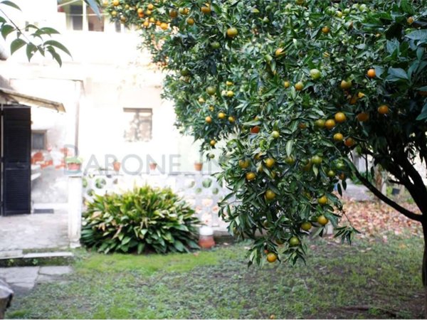 casa indipendente in vendita a Carrara in zona Avenza