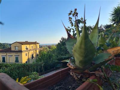 casa indipendente in vendita a Carrara in zona Stabbio