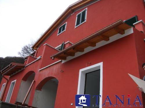 casa indipendente in vendita a Carrara in zona Miseglia