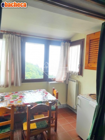 appartamento in vendita a Carrara in zona Castelpoggio