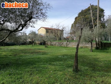 casa indipendente in vendita a Carrara in zona Bonascola