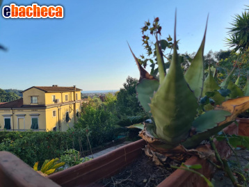 casa indipendente in vendita a Carrara in zona Stabbio