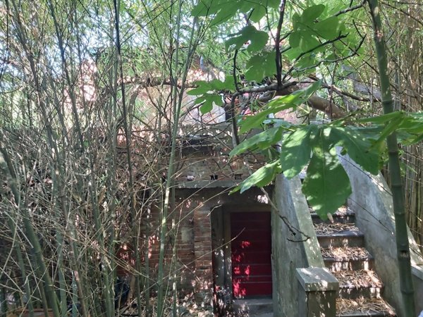 casa semindipendente in vendita a Carrara