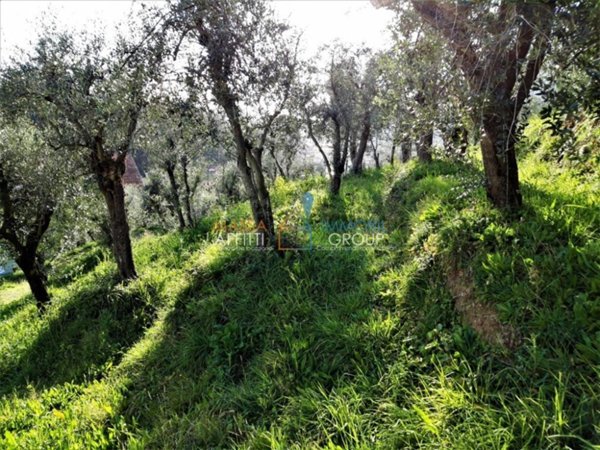 terreno agricolo in vendita a Carrara